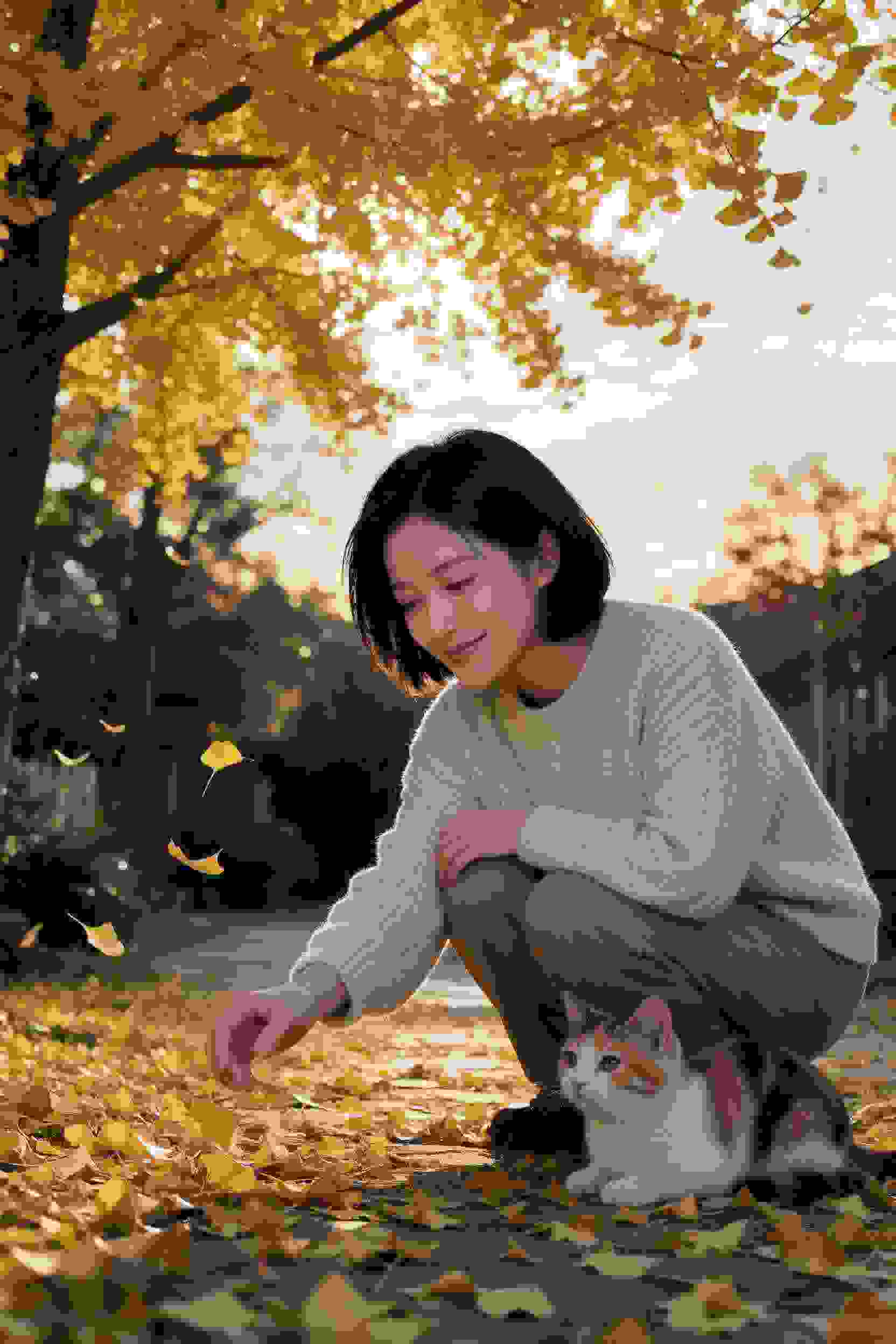 新剧1